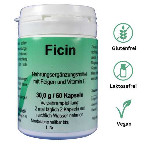 Ficin Kapseln – Natürliche Unterstützung für Verdauung & Darmflora