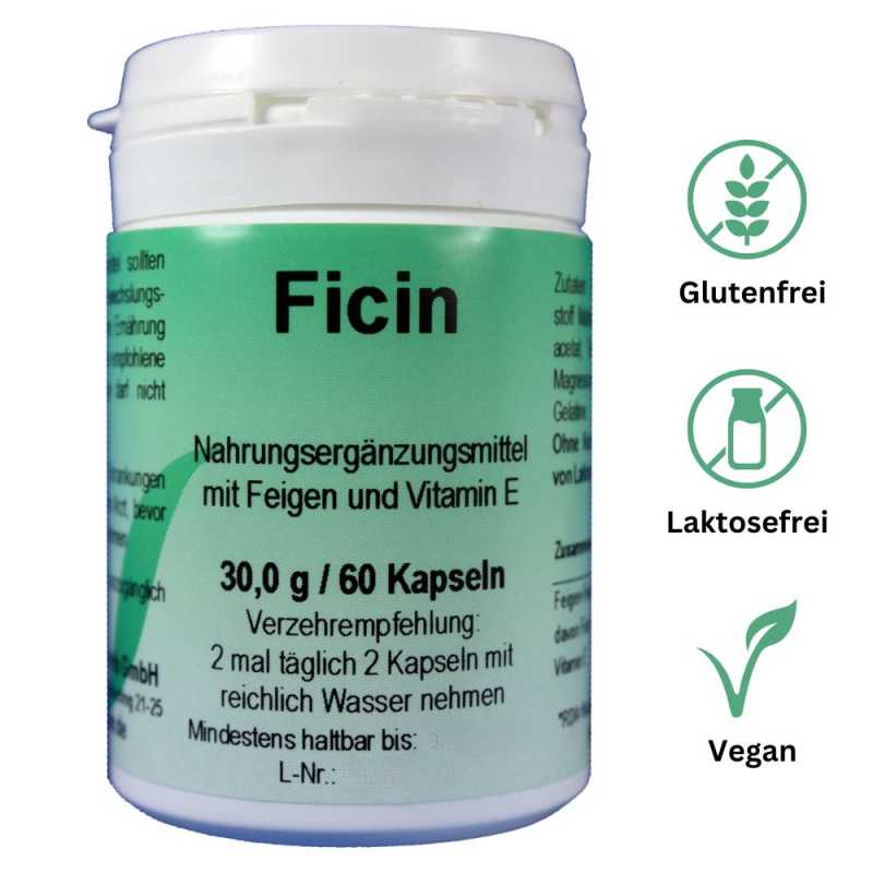 Ficin Kapseln – Natürliche Unterstützung für Verdauung & Darmflora