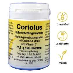 Coriolus – Immunstärkung mit Schmetterlingstramete
