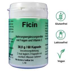 Ficin Kapseln – Natürliche Unterstützung für Verdauung & Darmflora