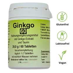 Ginkgo – Unterstützung für Gedächtnis & Konzentration